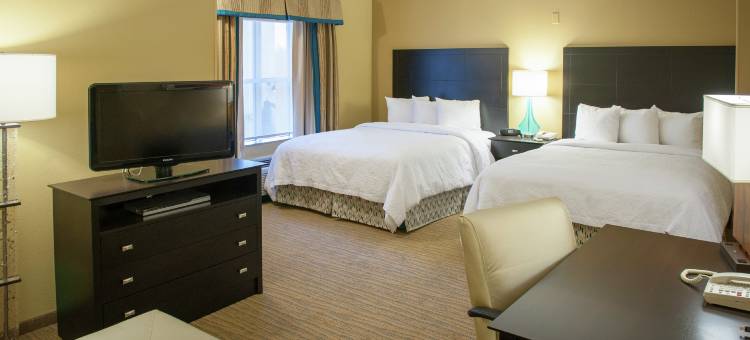 希尔顿欢朋套房酒店-圣彼得斯堡市区(Hampton Inn & Suites St. Petersburg/Downtown)图片