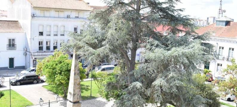 维拉贝纳文特酒店(Benavente Vila Hotel)图片