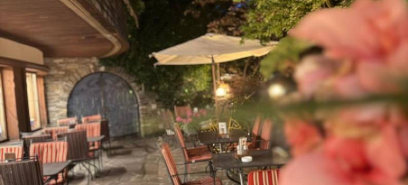 Standlhof齐勒塔尔酒店(Hotel Standlhof Zillertal)图片