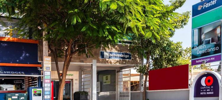 精选 O 芒果酒店 - 奥克斯特佩克六旗飓风港(Collection O Hotel Mango,Six Flags Hurricane Harbor Oaxtepec)图片