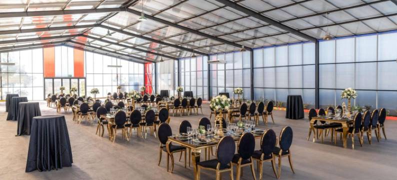 波罗克瓦尼丽柏酒店(Park Inn by Radisson Polokwane)图片