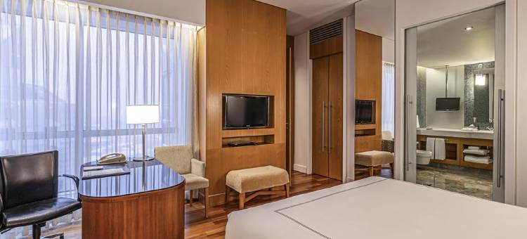 莫斯科红山瑞士酒店(Swissôtel Krasnye Holmi)图片