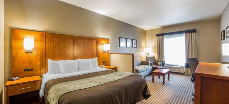 舒适套房酒店-伍兹克罗斯/盐湖城北(Comfort Inn & Suites Woods Cross - Salt Lake City North)图片