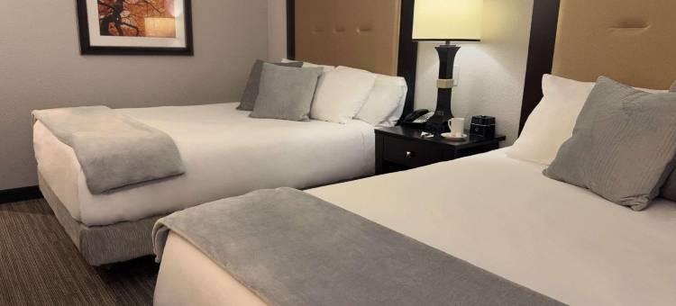 布兰森山坡酒店(The Branson Hillside Hotel)图片