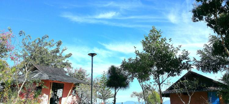 ClayCraft咖啡画廊民宿(ClayCraft Coffee Gallery Homestay)图片