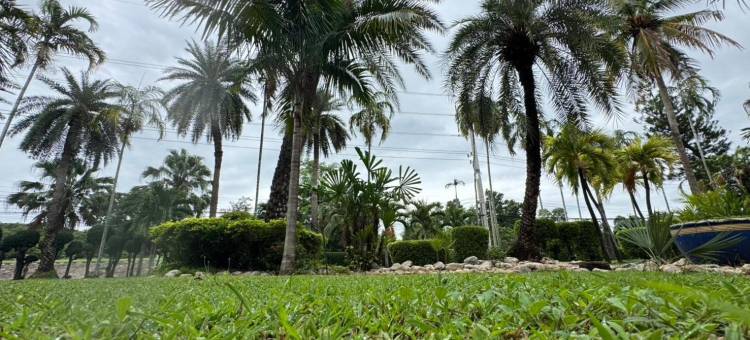 Saenpalm Training Home图片