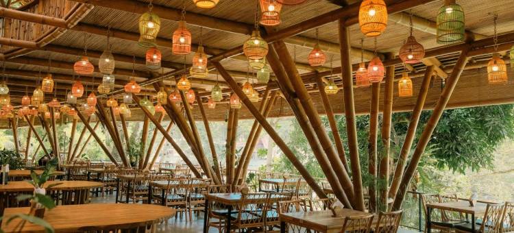 武吉拉旺经济小屋(Ecolodge Bukit Lawang - Hotel&Jungletrek)图片