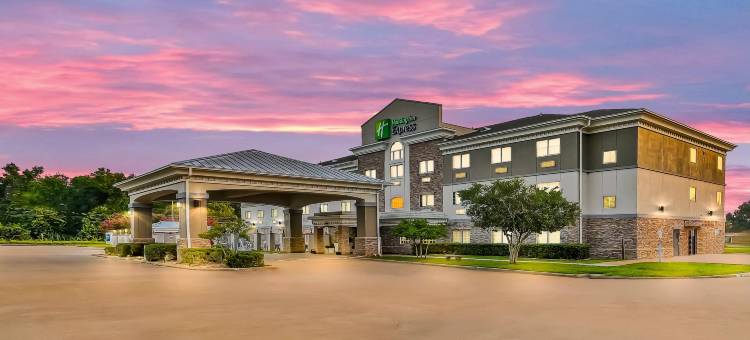 Holiday Inn Express 帕勒斯坦(Holiday Inn Express Palestine)图片
