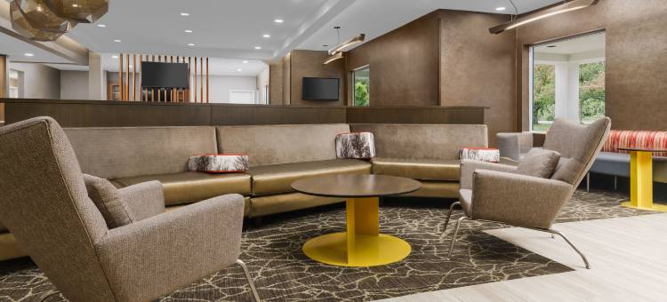 普罗维登斯西沃里克万豪SpringHill酒店(SpringHill Suites Providence West Warwick)图片