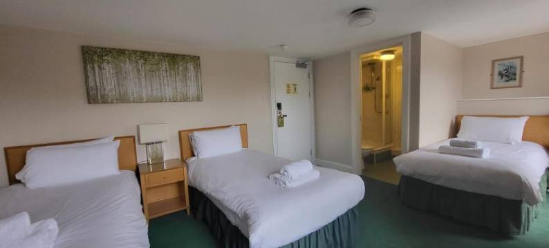 国家酒店(The National Hotel)图片