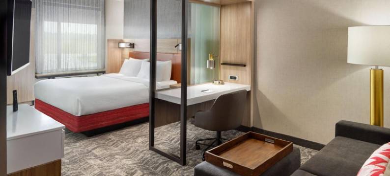 春丘-富兰克林明特分店(SpringHill Suites Franklin Mint)图片