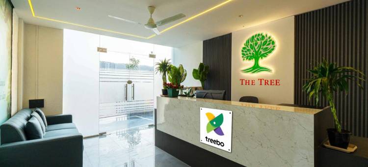 Treebo the Tree图片