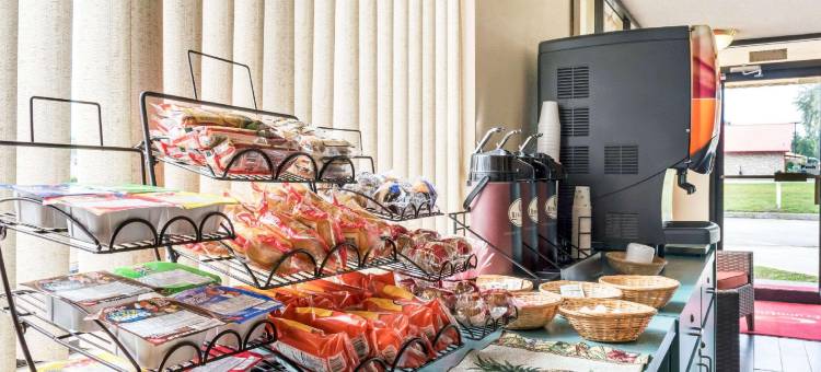 活橡树伊克诺酒店(Econo Lodge)图片