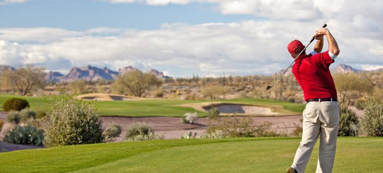 福朋喜来登酒店图森机场店(Four Points by Sheraton Tucson Airport)图片