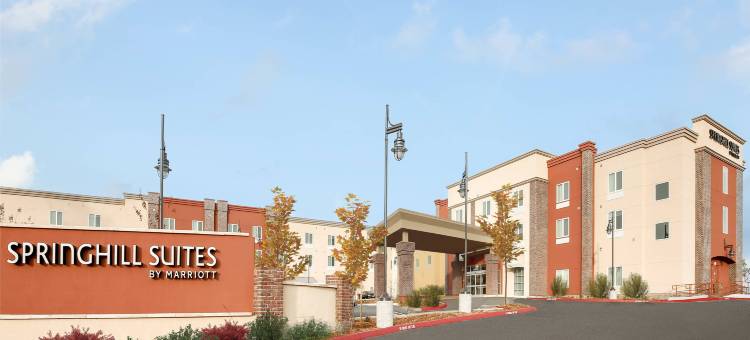 奥本万豪SpringHill Suites酒店(SpringHill Suites Auburn)图片