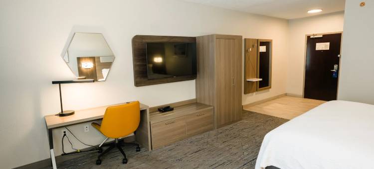 智选假日套房酒店柯达东赛维尔维尔(Holiday Inn Express & Suites Kodak East-Sevierville)图片