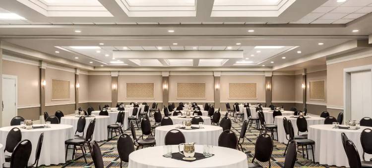 Royal Hotel Edmonton Airport Trademark Collection by Wyndham图片