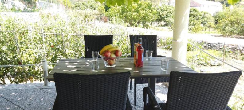 Guest House Kukuljica 2图片