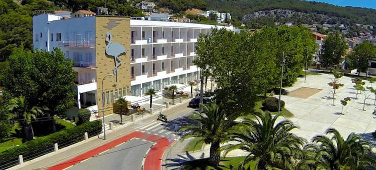 火烈鸟入住酒店(Checkin Flamingo)图片