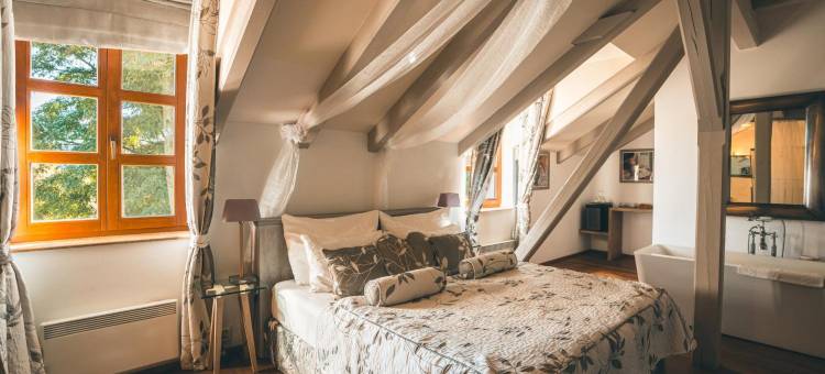 卡尔施泰因浪漫城堡酒店(Romantic Hotel Mlýn Karlstejn)图片