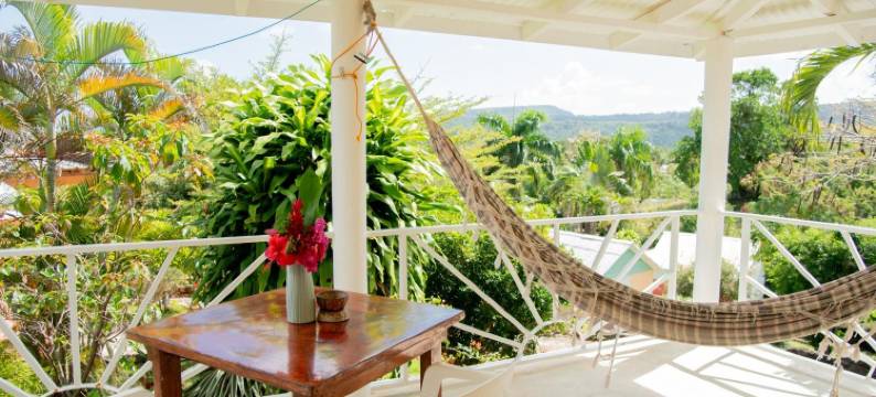 蝴蝶旅馆(Las Mariposas)图片