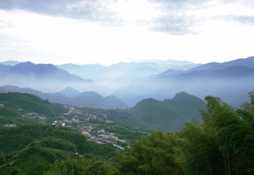 David's House Hotel Overview