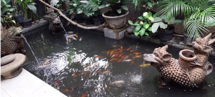 Cideres Holiday Home图片