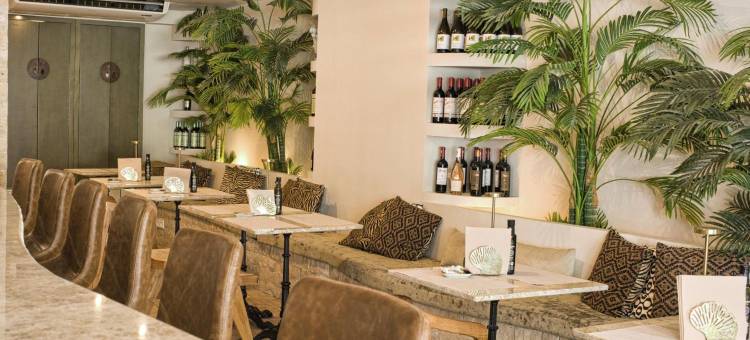 舒适工作室(Comfy Studios)图片