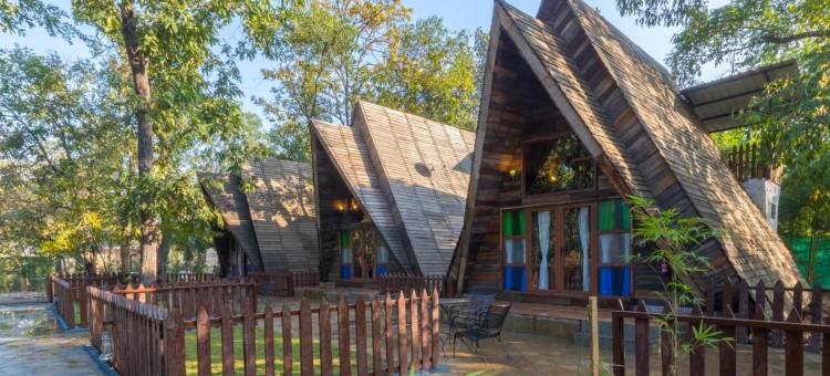 Sterling Padam Pench图片