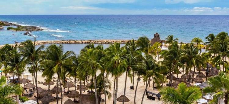 玛雅里维耶拉大道梦想度假村(Dreams Aventuras Riviera Maya)图片