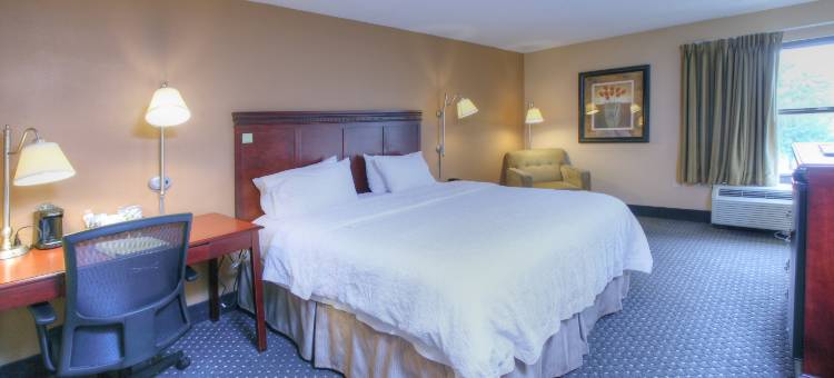 贝克斯菲尔德58号公路欢朋套房酒店(Hampton Inn & Suites Bakersfield/Hwy 58)图片