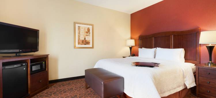 威利斯顿欢朋酒店及套房(Hampton Inn & Suites Williston)图片