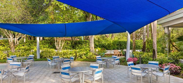 皇家棕榈树万豪酒店(Marriott's Royal Palms)图片