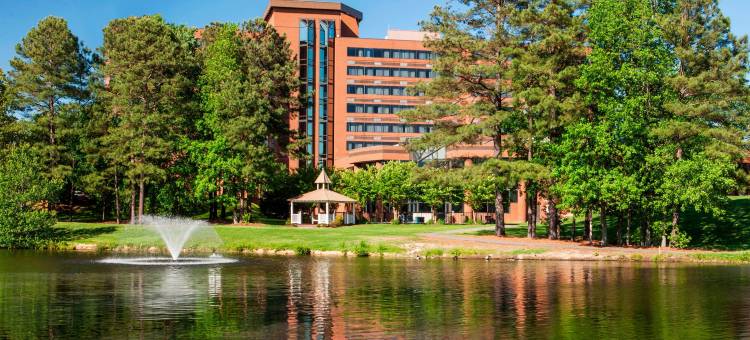 里士满福朋喜来登喜來登酒店(Four Points by Sheraton Richmond)图片