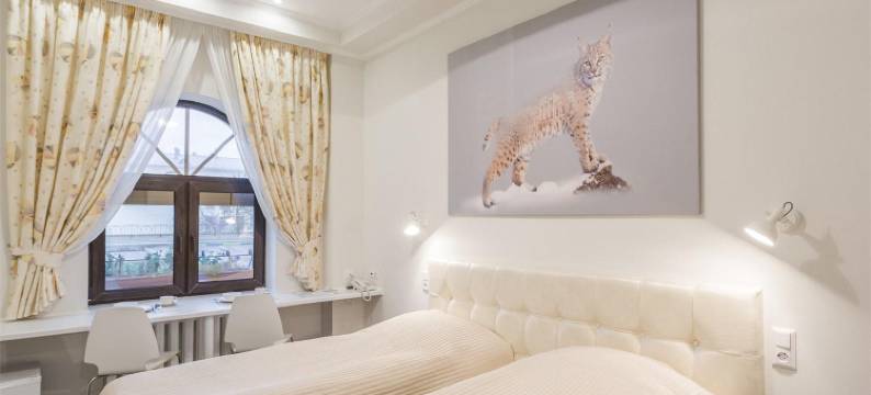 西比利亚加尼酒店(Garni-Hotel Sibiriya)图片