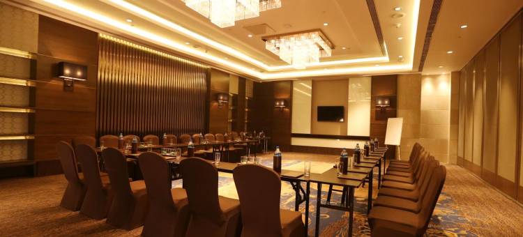 新德里机场城傲世广场酒店(Pride Plaza Hotel, Aerocity New Delhi)图片