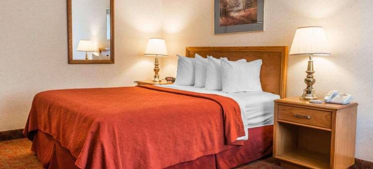 罗伊尔凯艺酒店(Quality Inn Royle)图片