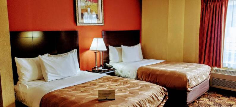 布蓝兹维克里夫兰南凯艺酒店(Quality Inn Brunswick Cleveland South)图片