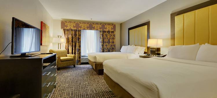 智选假日套房酒店冈萨雷斯(Holiday Inn Express & Suites Gonzales)图片