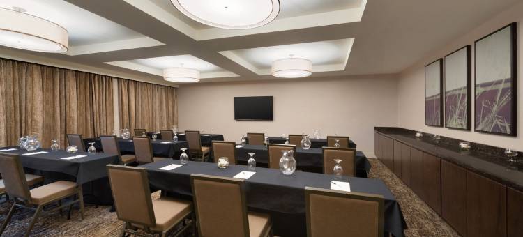 芝加哥-绍姆堡假日酒店(Holiday Inn Chicago - Schaumburg)图片