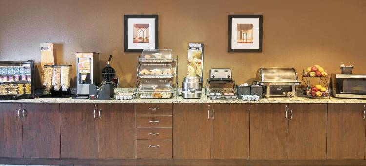 Microtel Inn & Suites by Wyndham Austin Airport图片