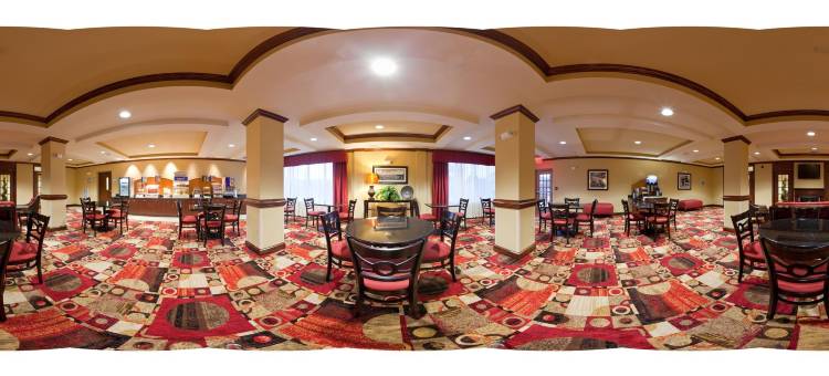 智选假日套房酒店塔拉迪加(Holiday Inn Express & Suites Talladega)图片