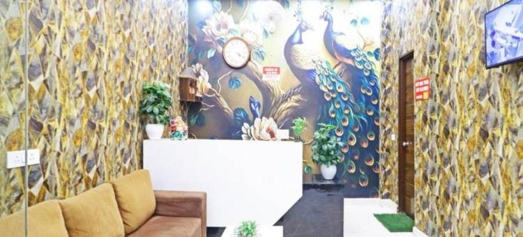 Hotel Vijaydeep Palace Near Delhi Airport图片