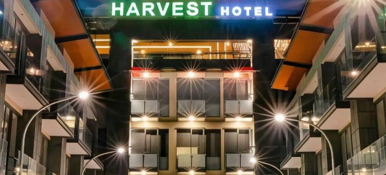 沃诺索博前一丰收酒店(Front One Harvest Hotel Wonosobo)图片