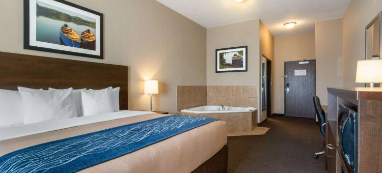 舒适套房酒店(Comfort Inn & Suites)图片