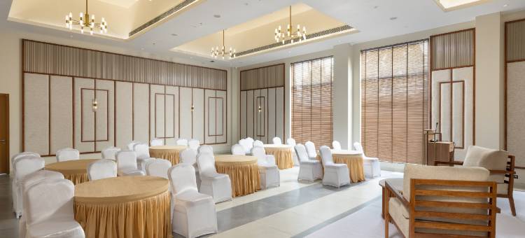 丁香库姆巴科南(Lilac Kumbakonam)图片