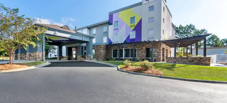 Spark by Hilton Dothan图片