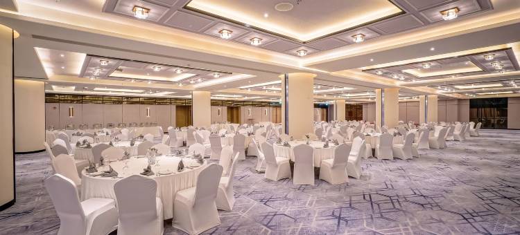 达卡机场皇冠假日酒店 by IHG(Crowne Plaza Dhaka Airport by IHG)图片