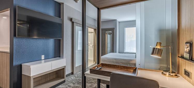 韦恩堡西南SpringHill Suites酒店(SpringHill Suites Fort Wayne Southwest)图片