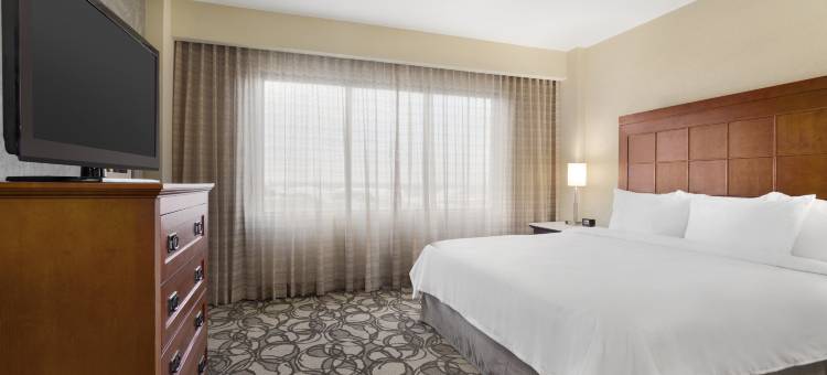 圣安东尼奥国际机场希尔顿安泊酒店(Embassy Suites by Hilton San Antonio Airport)图片